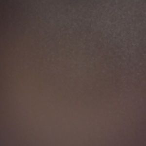 Meet your Posher, Wayne